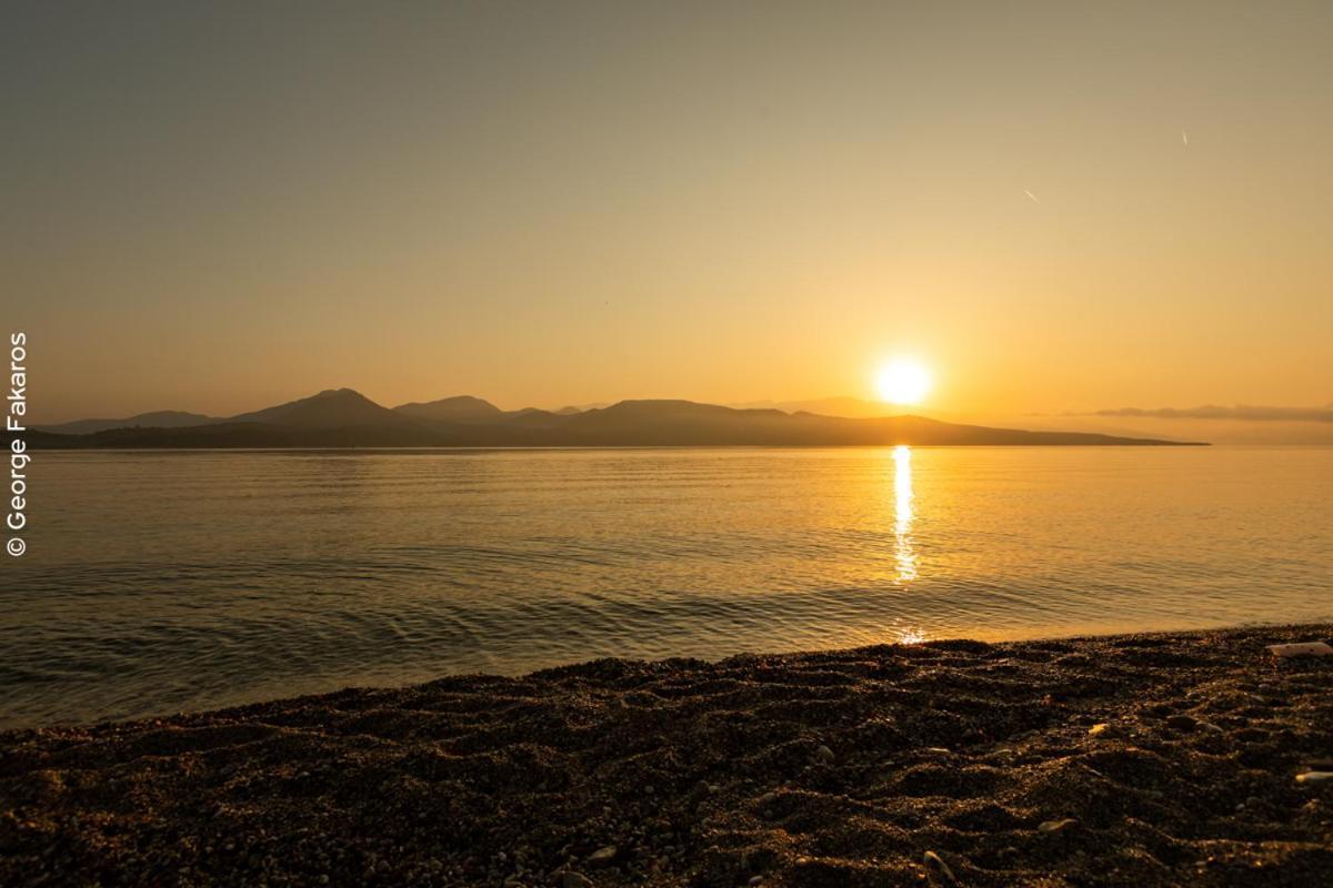 White Rock Villas Lefkada ليغيا المظهر الخارجي الصورة